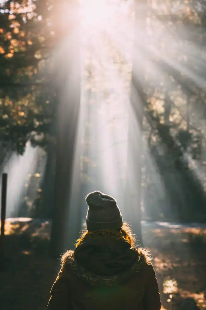 nathan dumlao 6dmx8YnkPGo unsplash